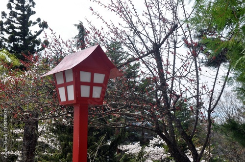 Japanese traditional street light pole © Handini_Atmodiwiryo