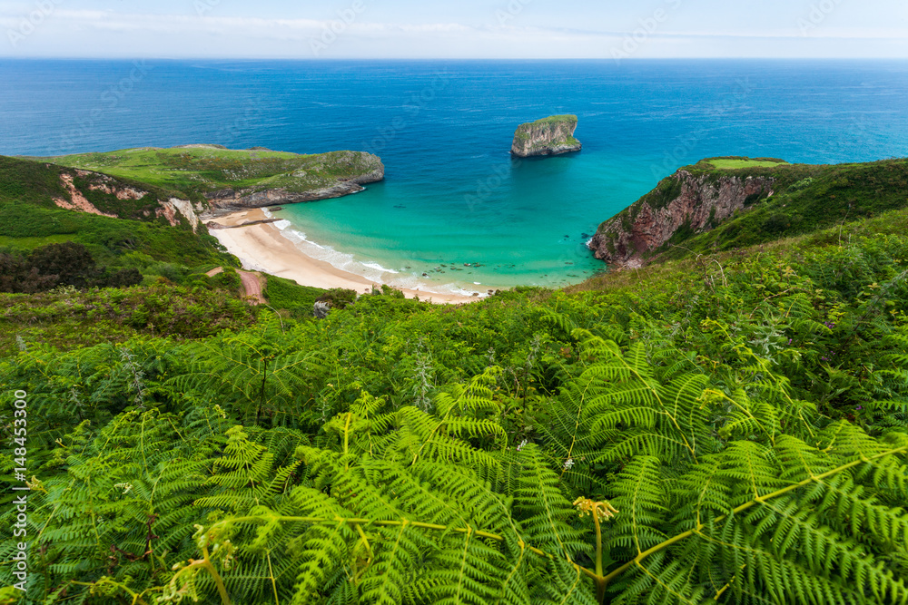 Obraz premium Ballota beach