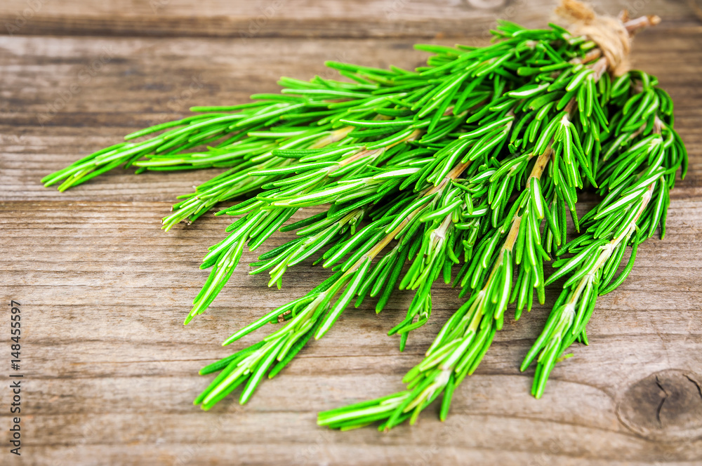 lush and green rosemary lush and green rosemary