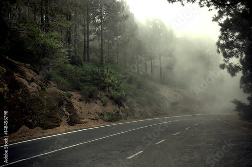 Dramatic ambiance following a deserted, spooky road by the forest on a foggy morning in Tenerife, Canary Islands