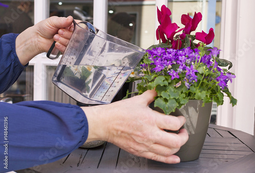 A person watering plants over a table  photo