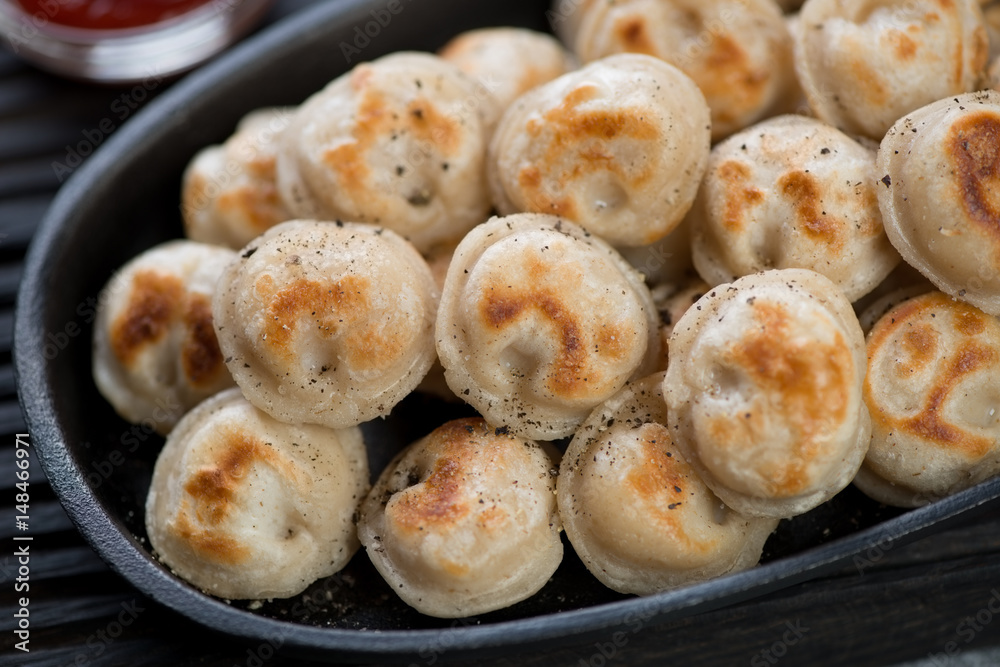 Close-up of fried russian meat dumplings pelmeni, selective focus, studio shot