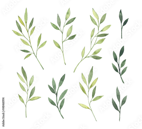 Fototapeta Naklejka Na Ścianę i Meble -  Hand drawn watercolor illustrations. Botanical clipart. Set of Green leaves, herbs and branches. Floral Design elements. Perfect for wedding invitations, greeting cards, blogs, posters and more