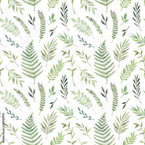 Hand drawn watercolor illustration. Botanical background with green leaves  branches and herbs. Floral Design elements. Perfect for wedding invitations  greeting cards  textiles  prints  posters