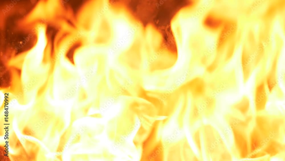 Burning coal. Coal and fire slow motion Burning coal. Coal and fire slow motion