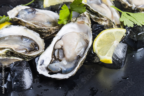 Photography Oysters