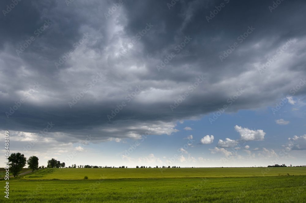 green wheat field and storm clouds