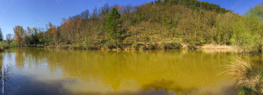 The different colors of the water of a small swamp