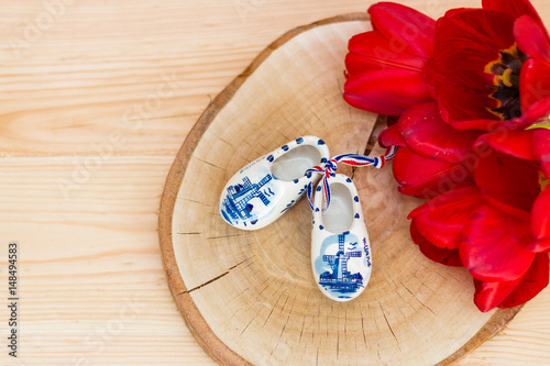 Photography Souvenirs from Holland