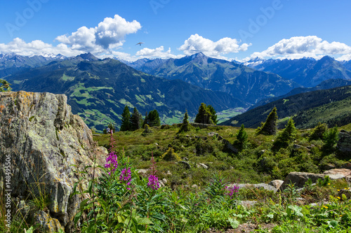 High mountains view with green meadow and stones in the foreground. Zillertal High Alpine Road, Austria, Tirol, Zillertal
