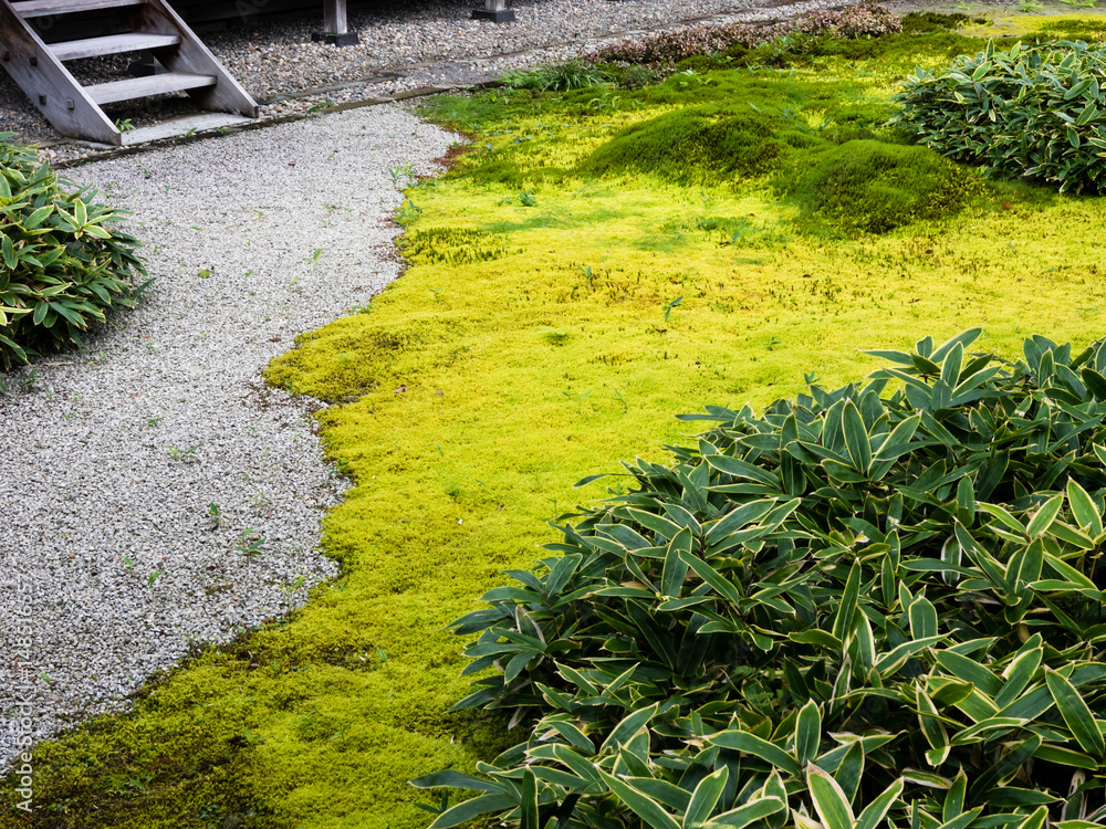 Fototapeta premium Green moss and gravel footpath in traditional Japanese garden