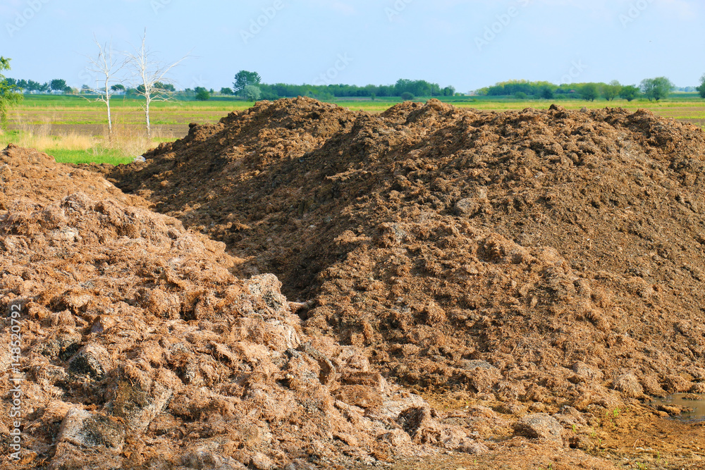 Fertilizer from cow manure and straw. Heap of manure,