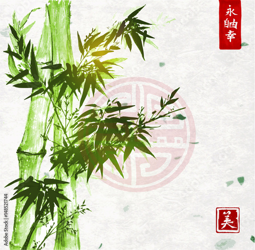 Green bamboo on handmade rice paper background. Traditional oriental ink painting sumi-e, u-sin, go-hua. Contains hieroglyphs - zen, freedom, nature, clarity