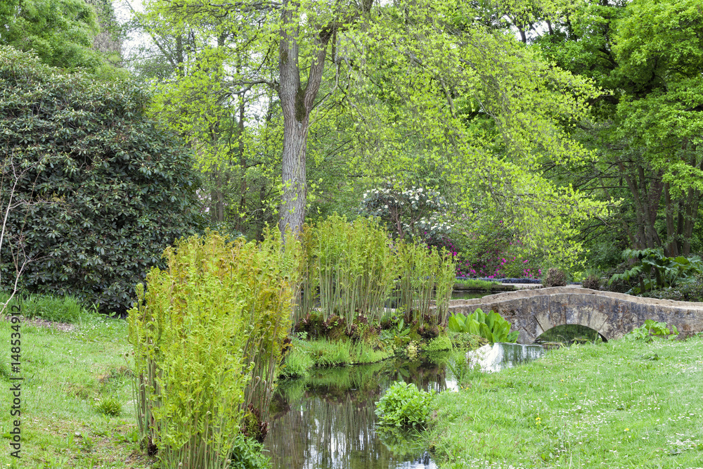 Landscaped garden with an old, stone bridge over a small river surrounded by green ferns, trees and shrubs, on a summer day, in south east England . Landscaped garden with an old, stone bridge over a small river surrounded by green ferns, trees and shrubs, on a summer day, in south east England .