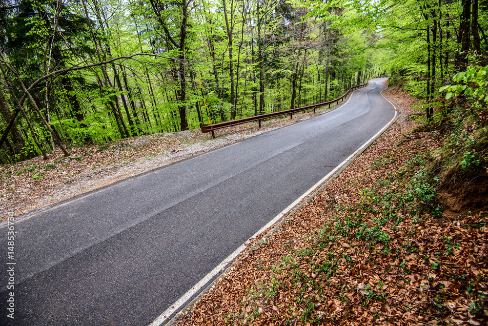 Obraz premium mountain road - outdoor activity and spring season