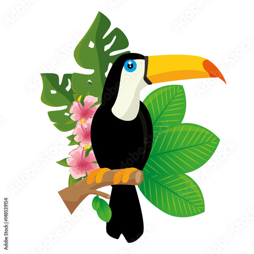 toucan tropical bird icon vector illustration design
