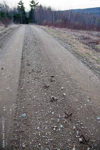 turkey footprints on dirt road