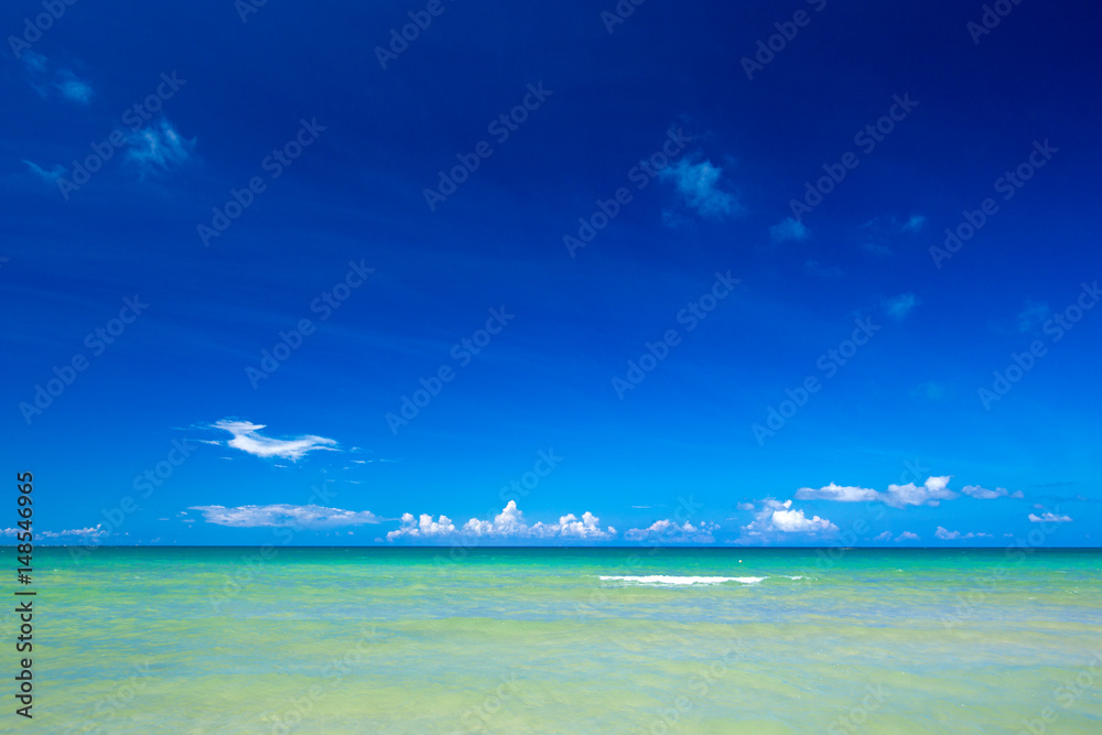 Fototapeta premium beach and tropical sea