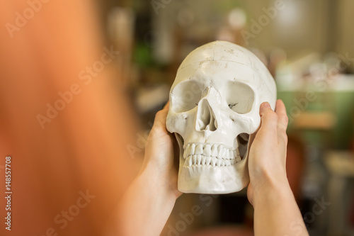 skull