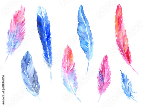 Watercolor colorful bird feather rustic isolated set