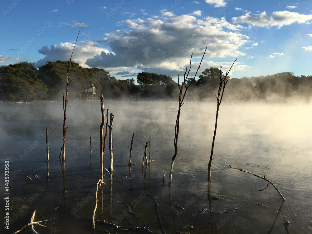 Hot pools in Kuirau Park in Rotorua New Zealand Hot pools in Kuirau Park in Rotorua New Zealand