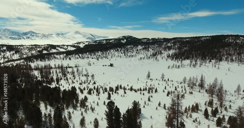 Wildlife and plants of Siberia survive in a harsh climate. Shooting from the air: overgrown with evergreen coniferous plants. A sharp continental climate: rare plants on a mountain plain. photo