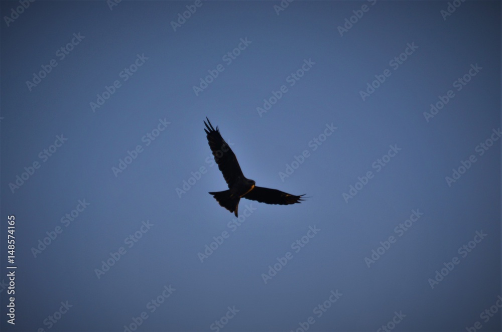 Obraz premium Milano