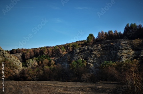 Wallpaper Mural Tras el incendio Torontodigital.ca