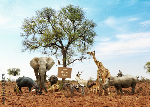 Photography Team Meeting With Diverse Group of Safari Animals