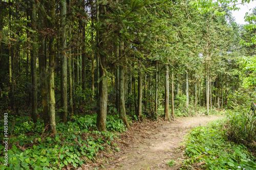 The pathway in the mountain 