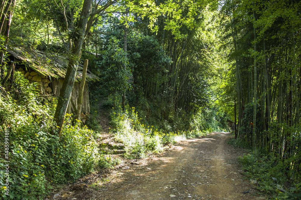 Fototapeta premium The pathway in the mountain 