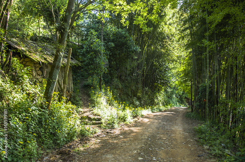 The pathway in the mountain 