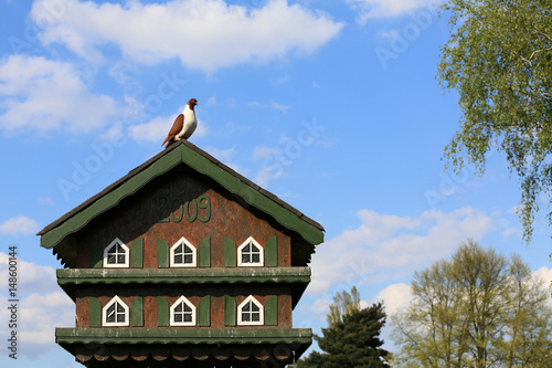 Dovecote for pigeons.