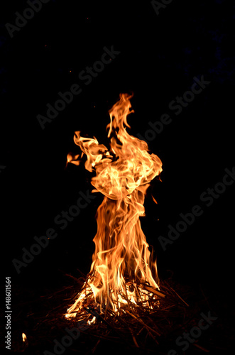  A high and narrow flame of burning dry brushwood.