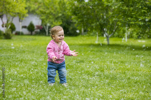 Little baby girl  playing with poplar fluff on the green park outdoor. © Boca