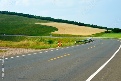 The cornfield landscape