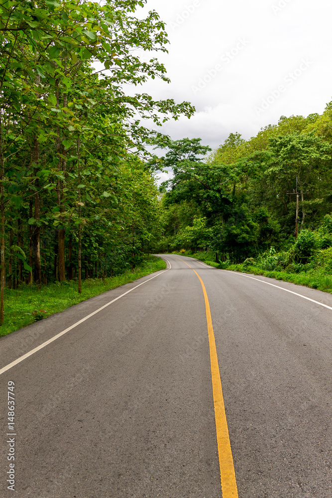 Serpentine road Serpentine road