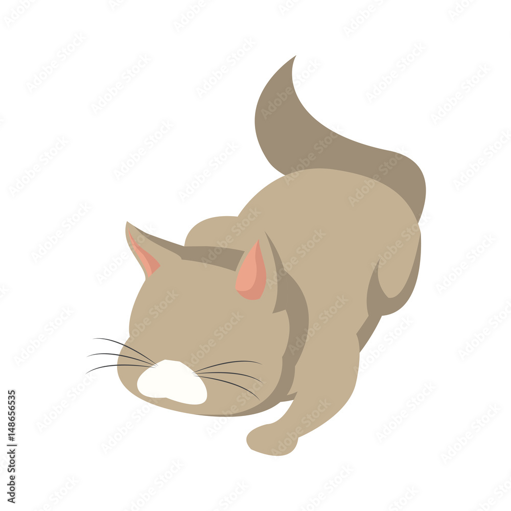 cat animal pet adorable domestic vector illustration