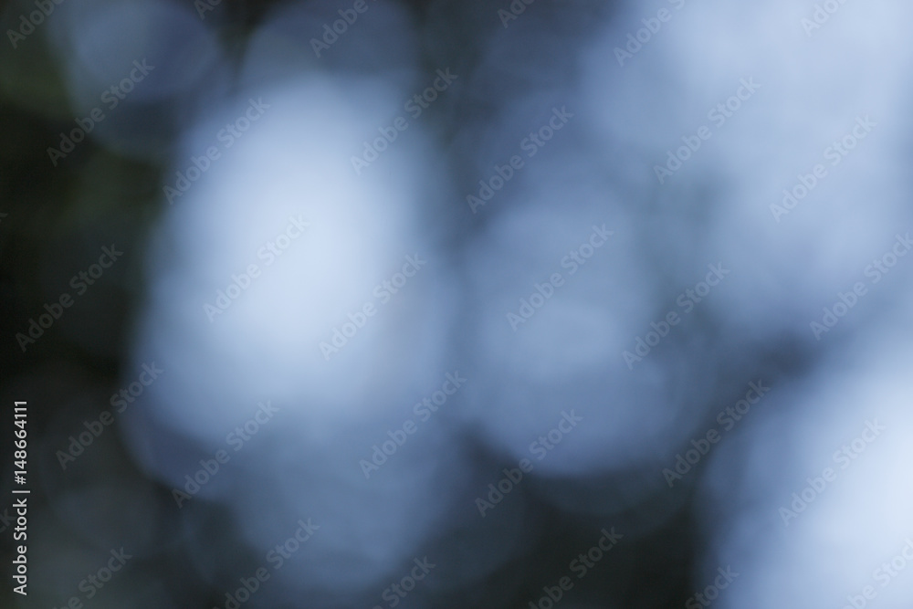 Obraz premium Blurred plant