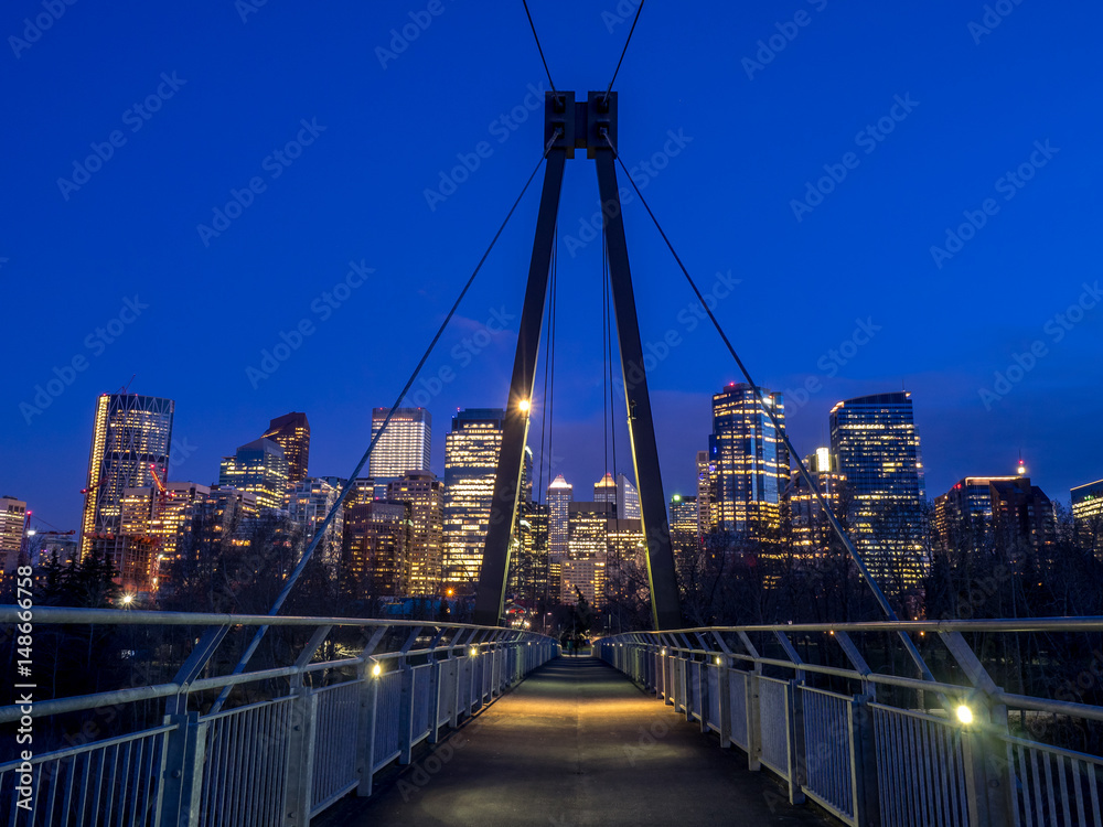 Obraz premium Calgary skyline at night along the Bow River.