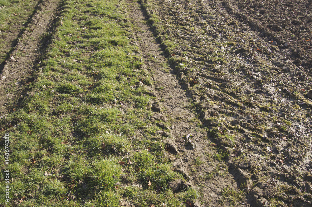 Tyre tracks