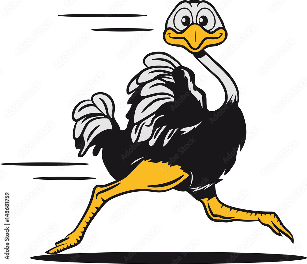 strauss emu witzig rennen laufen StockIllustration Adobe Stock