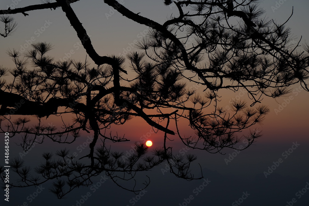 The new morning of the holiday