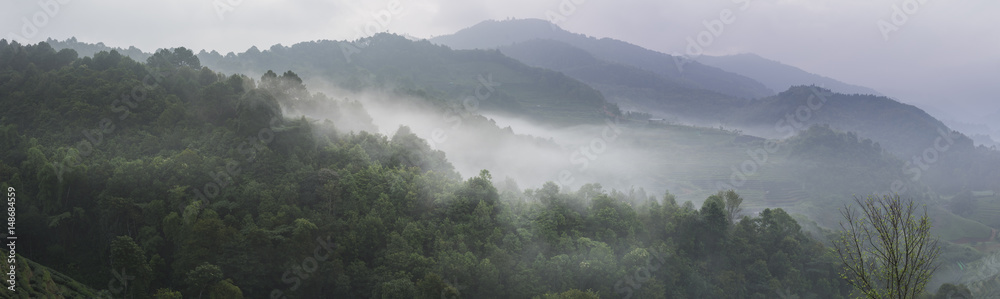 mist around the hills over the forest