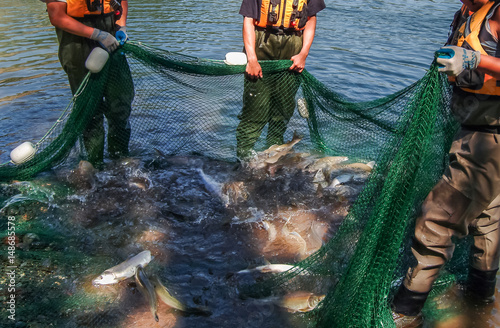 Fisheries Catch photo