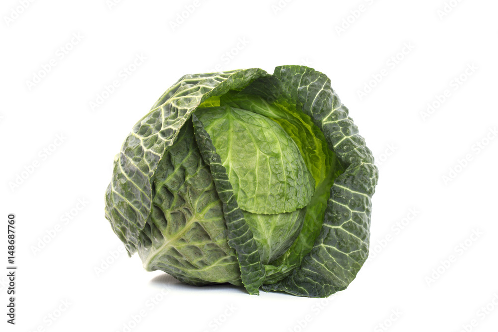 Fototapeta premium One head of young cabbage