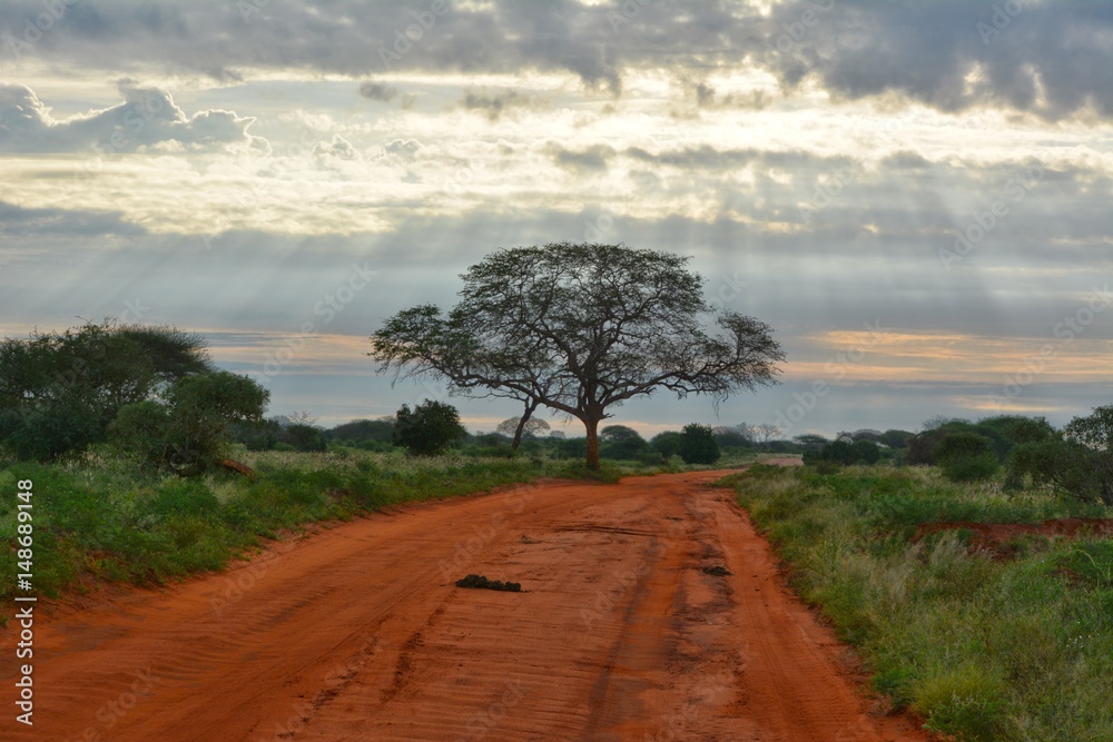 Obraz premium Kenia Safari