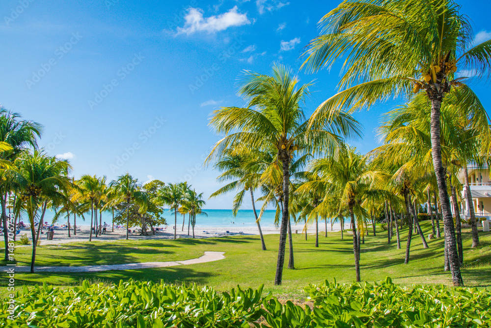 Fototapeta premium Mantanzas, Cuba 