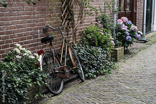 Old bicycle with basket parked in front  of a beautiful house with plants and flowers