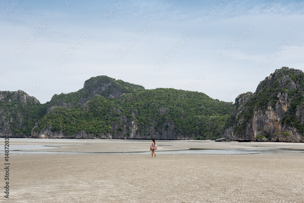 Fototapeta premium beach and mountain 